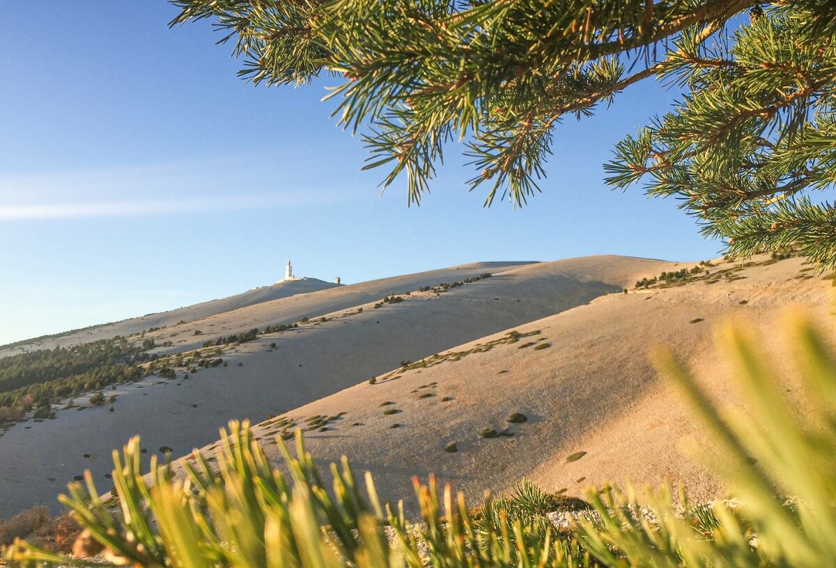 07_bis_Mont_Ventoux_Antoine.jpg