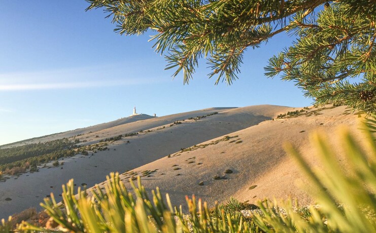 07_bis_Mont_Ventoux_Antoine.jpg
